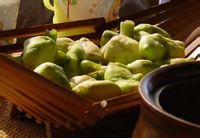 水生植物--菱& 水生植物--菱&